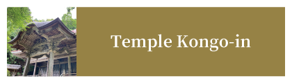 Temple Kongo-in